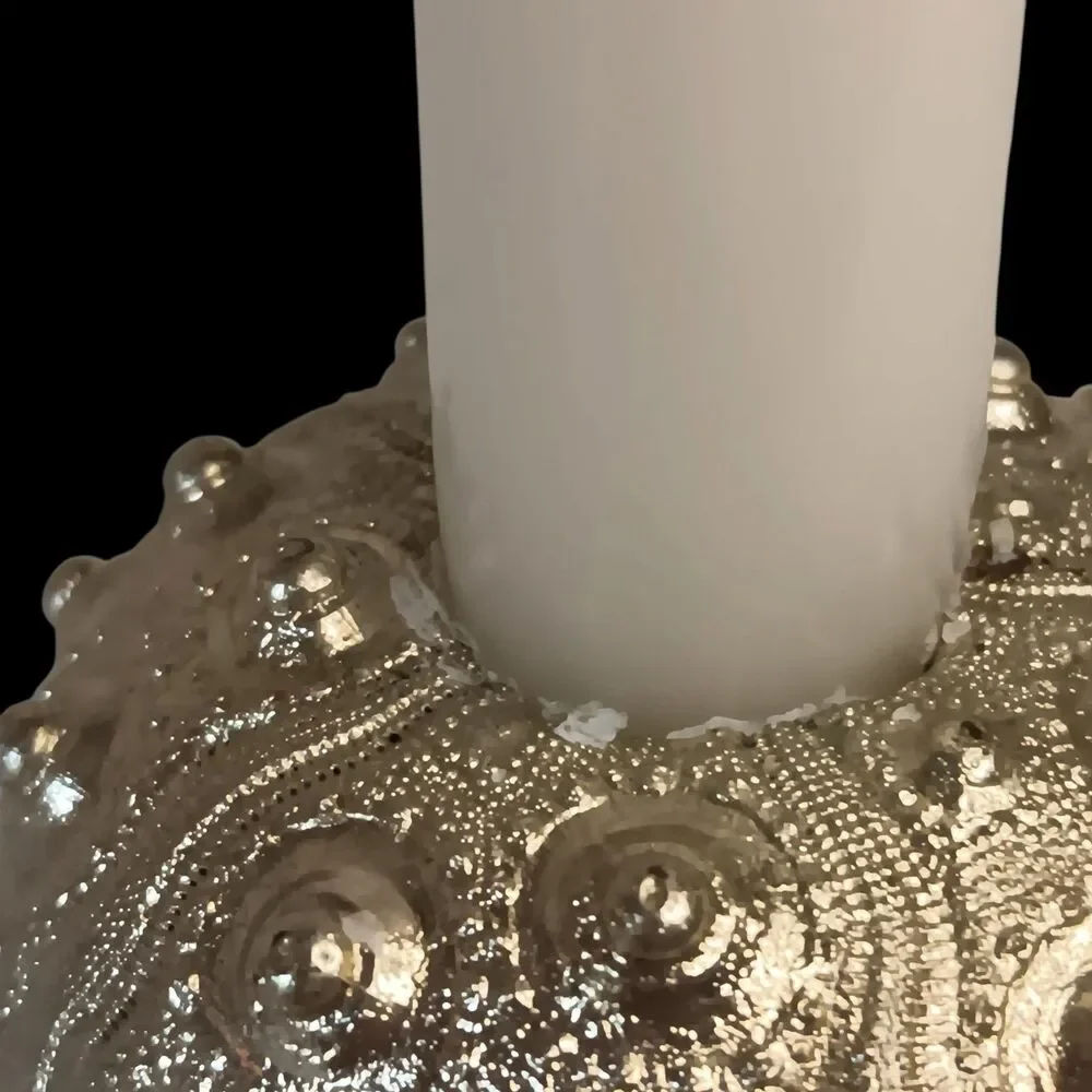 Set of 3 Sputnik Real Sea Urchin Candle Holders Painted Metallic Gold 2.5 x 1.75